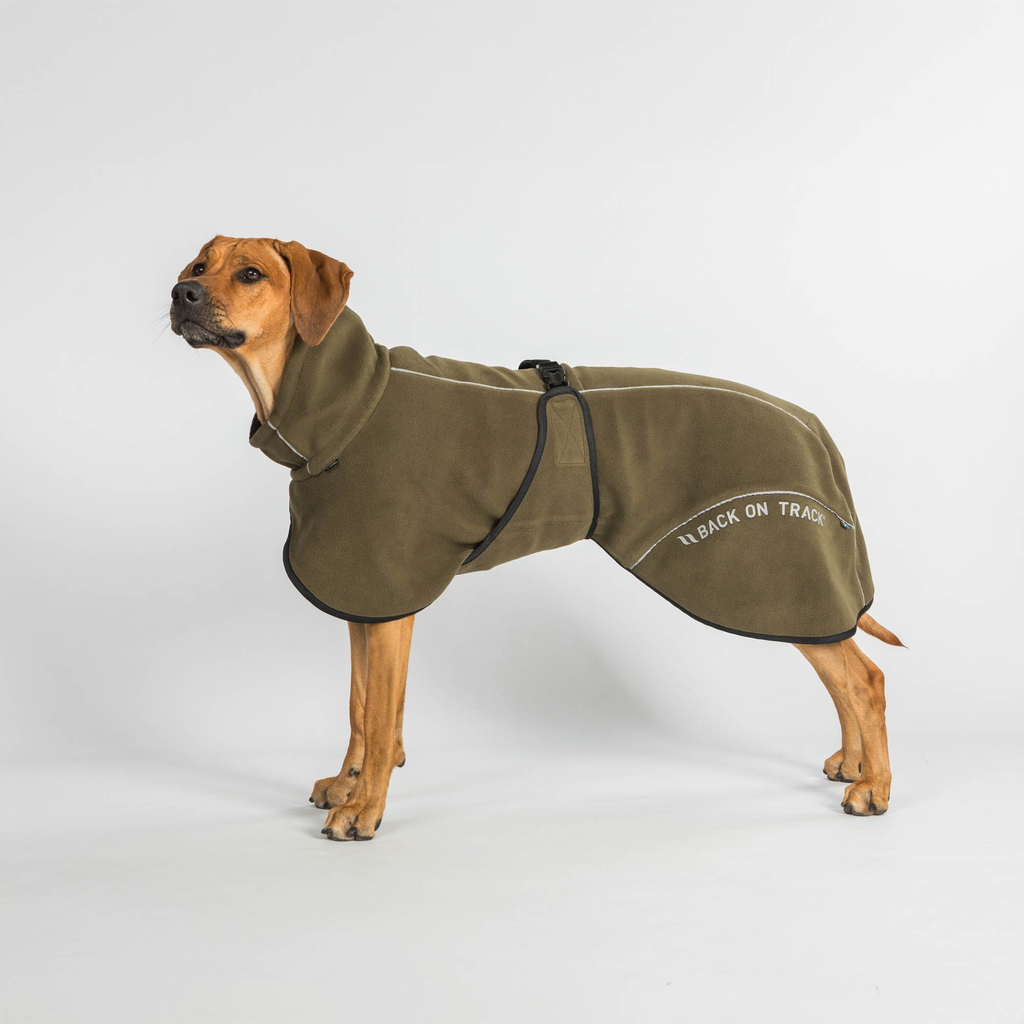 BAY Fleece-Hundemantel, Niedriger Rutenansatz