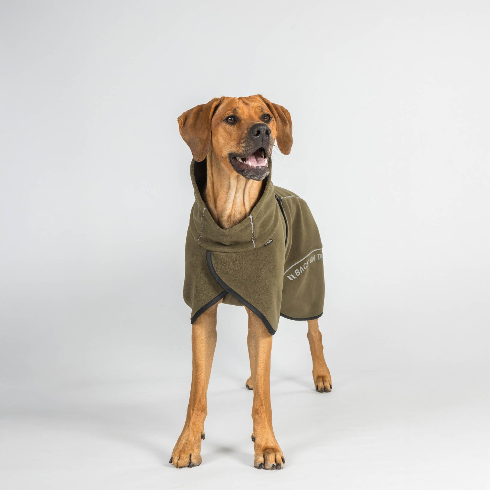 BAY Fleece-Hundemantel, Niedriger Rutenansatz