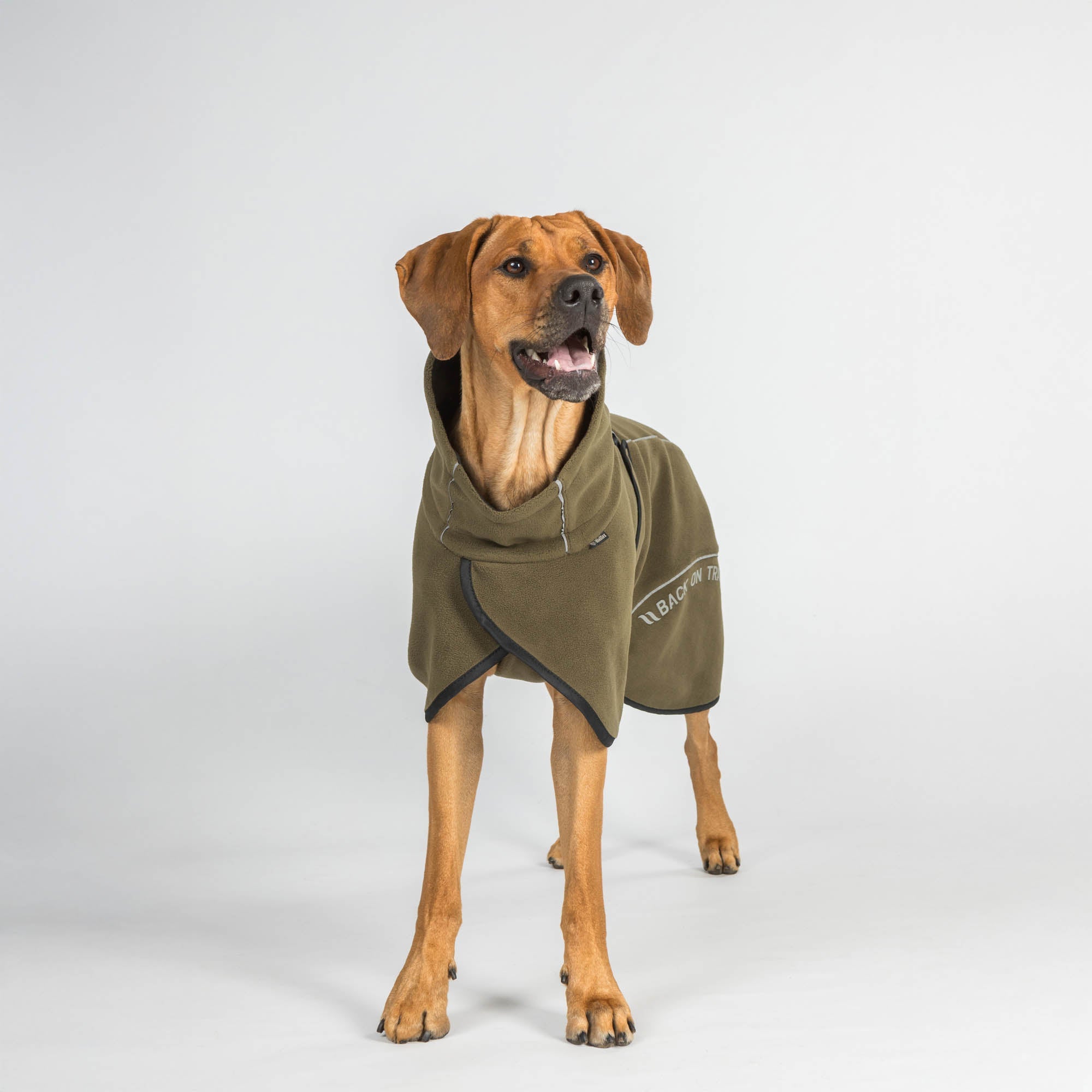 BAY Fleece-Hundemantel, Niedriger Rutenansatz