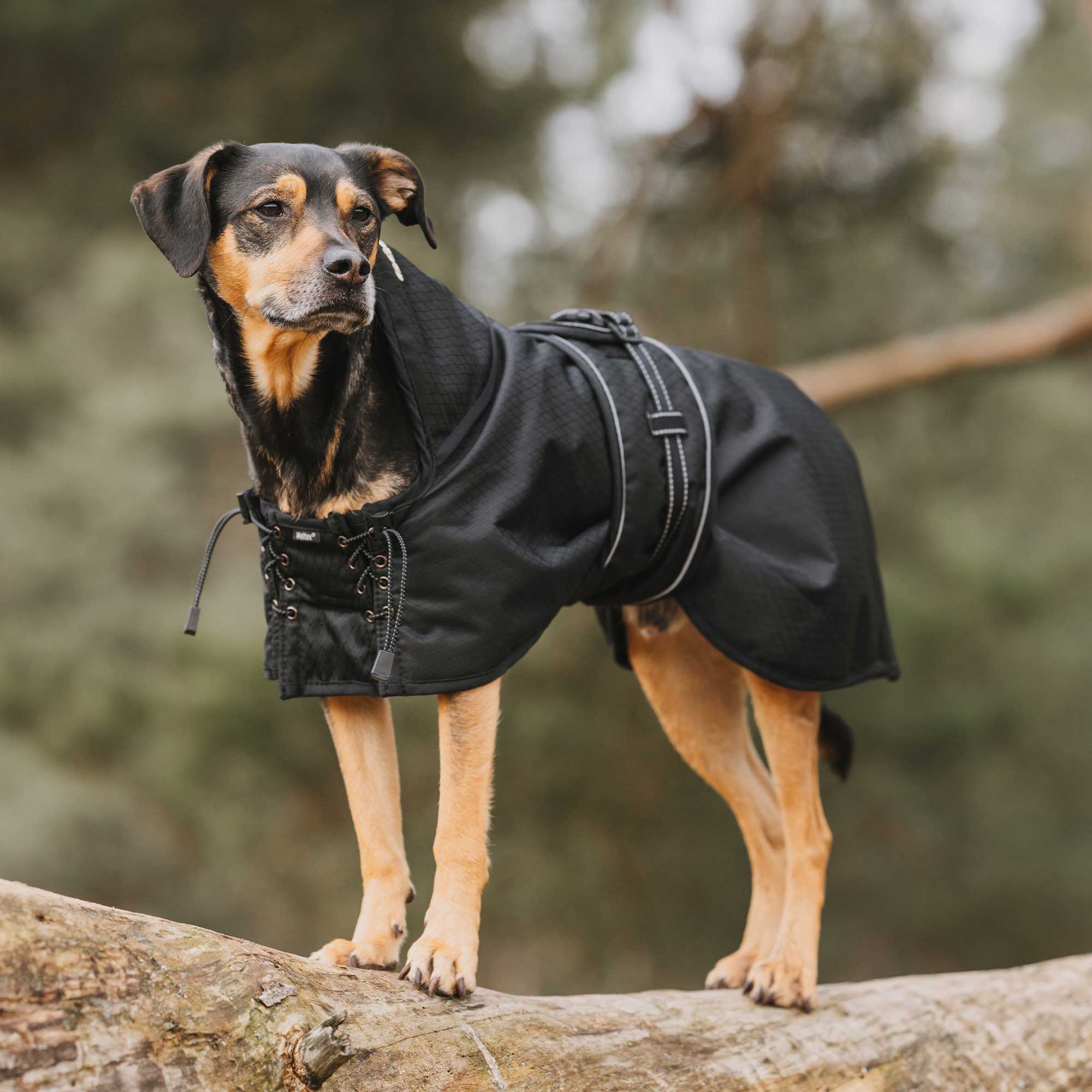 Allwetter-Hundemantel, gefüttert