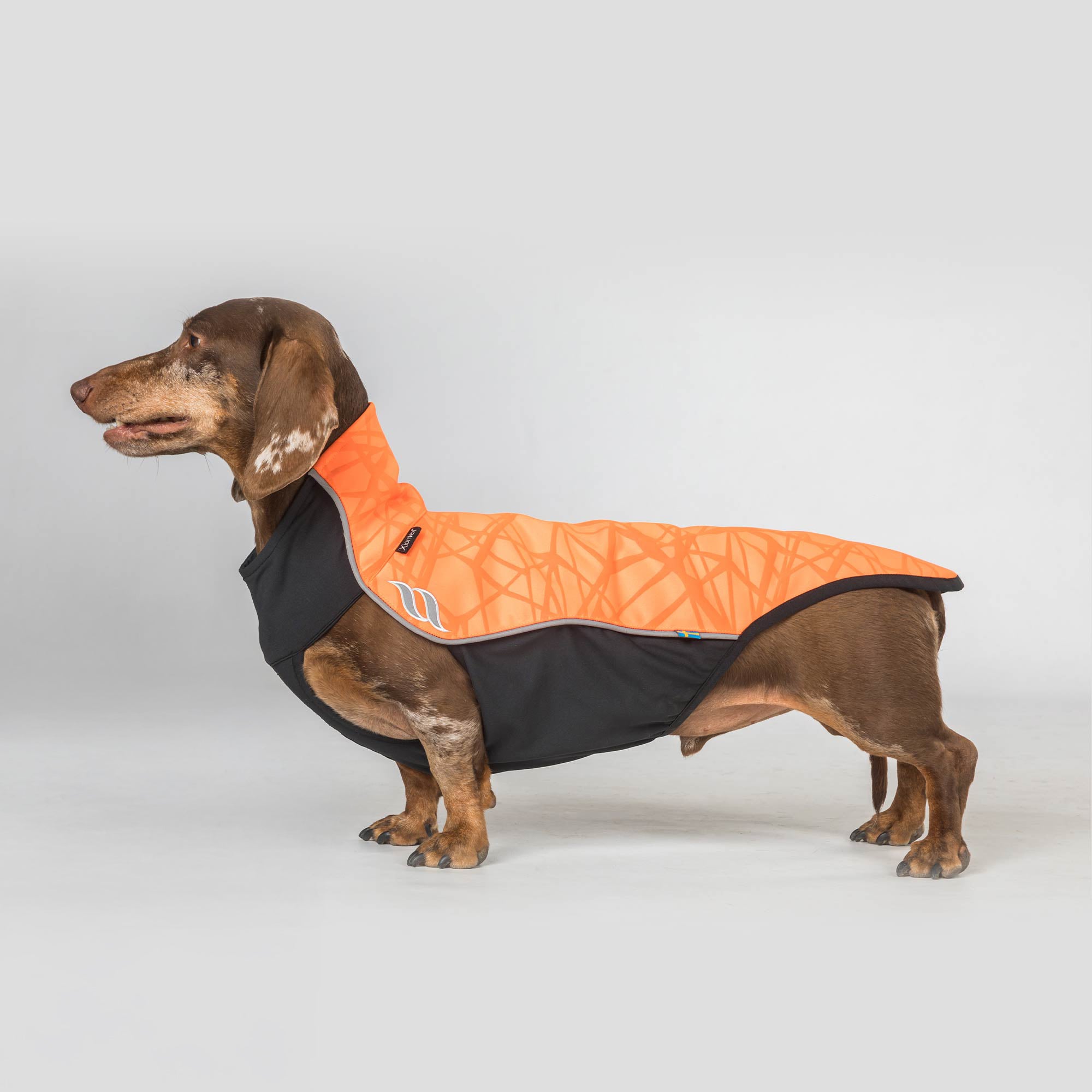 "Eddie" Petite Hundepullover reflektierend