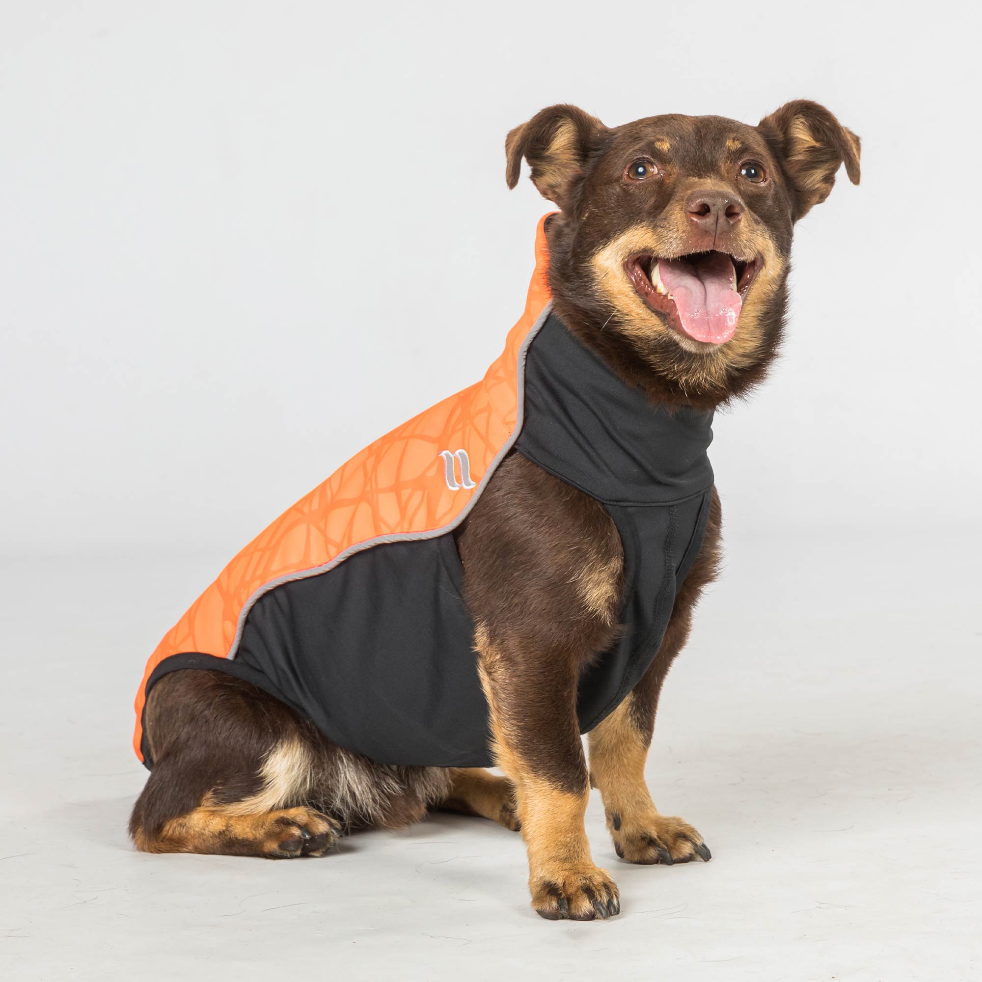 "Eddie" Petite Hundepullover reflektierend