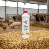 Schopf Kokzi® Des Breitband-Stalldesinfektionsmittel 1 L