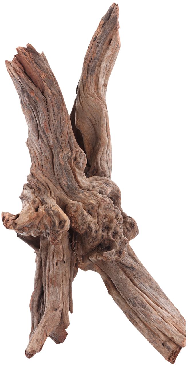 sera Drift Wood