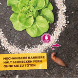 Solabiol Schneckenbarriere 1,5 kg