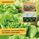 Solabiol Schneckenbarriere 1,5 kg