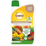 Solabiol Grundstoff Lecithin Konzentrat 800 ml