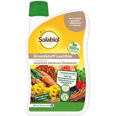Solabiol Grundstoff Lecithin Konzentrat 800 ml
