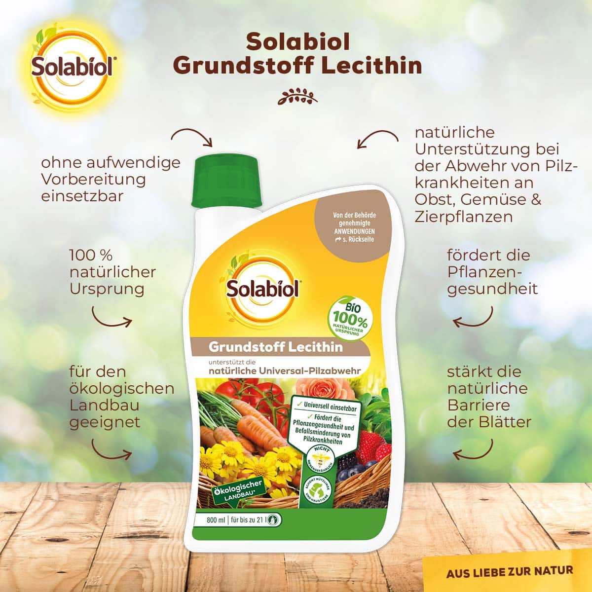 Solabiol Grundstoff Lecithin Konzentrat 800 ml