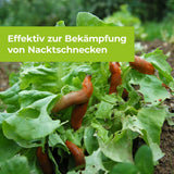 Protect MaXX Schneckenkorn FE 1,2 kg fur ca.315 m²