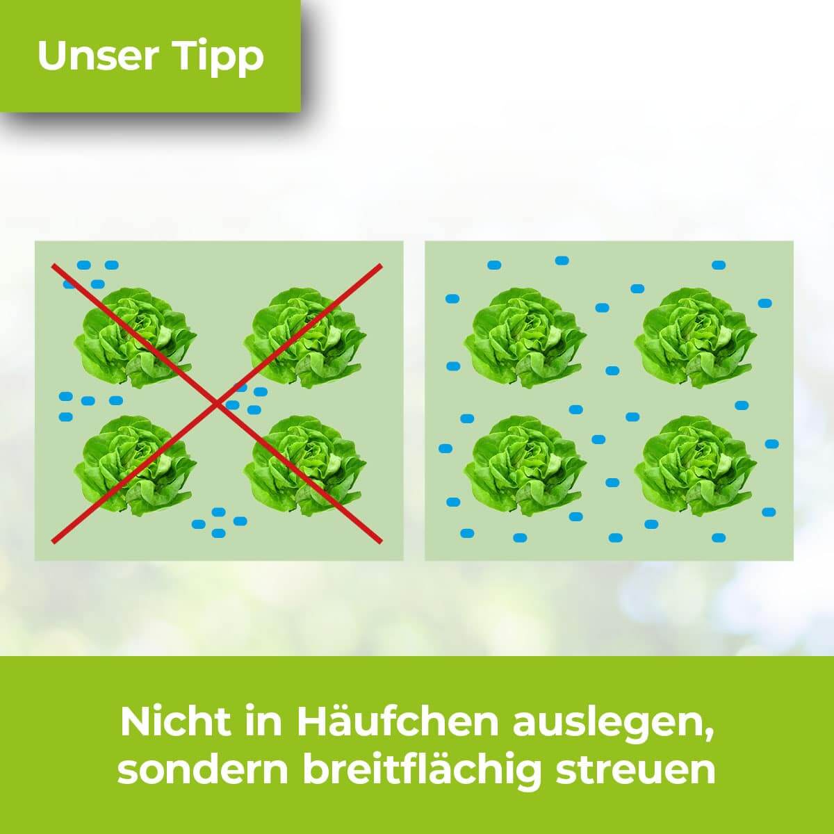 Protect MaXX Schneckenkorn FE