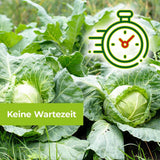 Protect MaXX Schneckenkorn FE 500 g für ca 130 m²