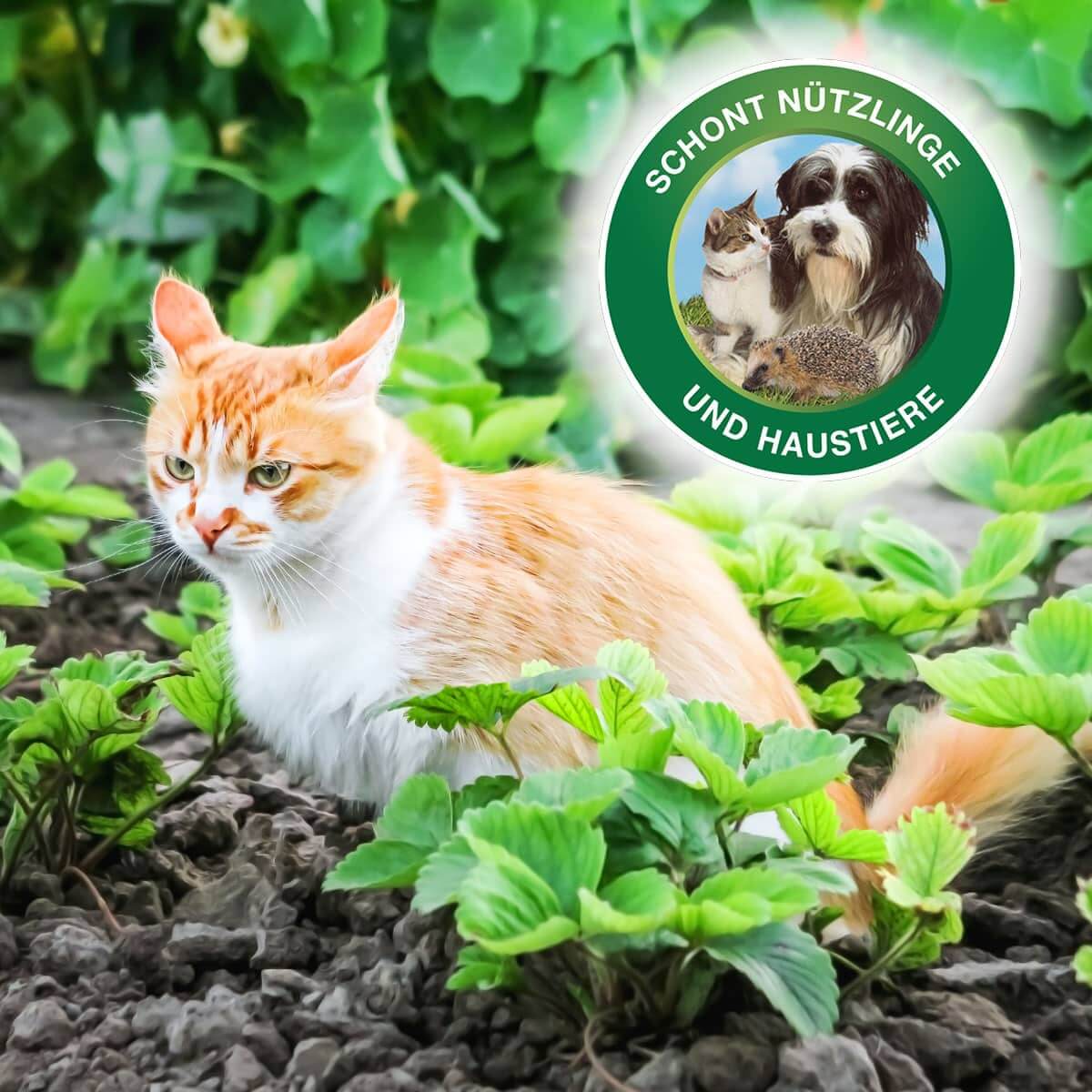 Protect MaXX Schneckenkorn FE