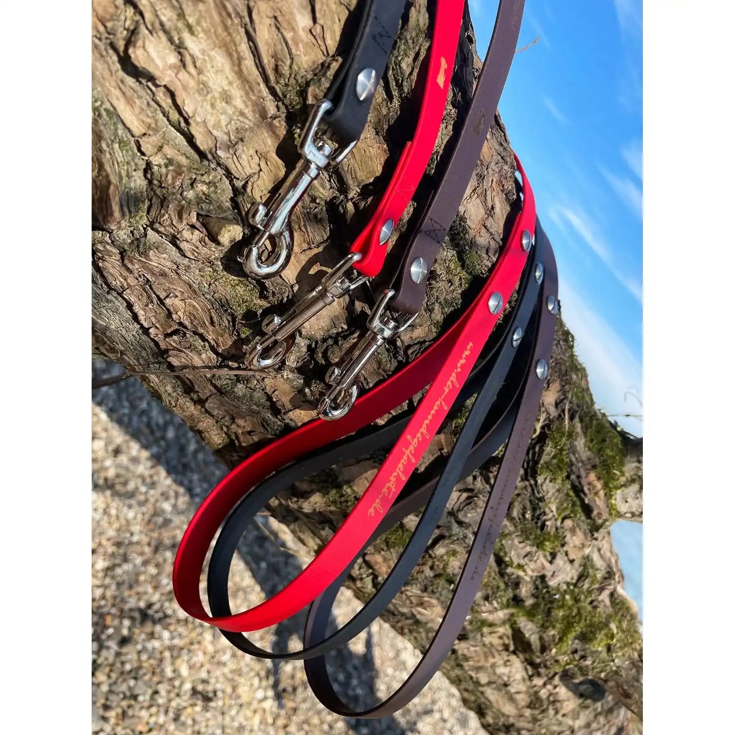 Hundeleine UM'S ECK (1,50 m) aus BioThane®/POP - Band by Der Hundegefährte