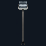 Snail Catcher