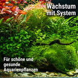 Plant System Set Nano