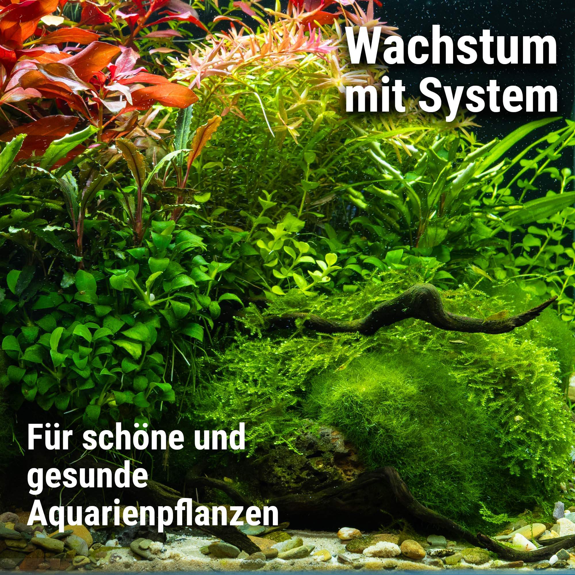 Plant System Set Nano