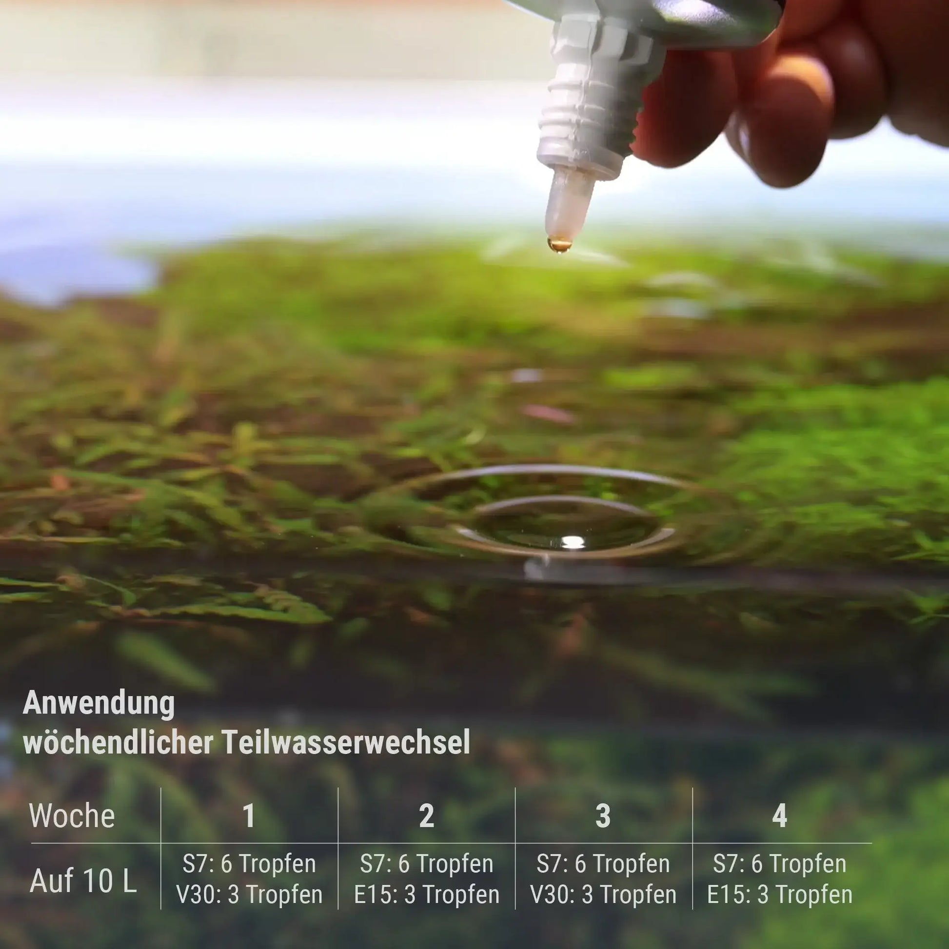 Plant System Set Nano