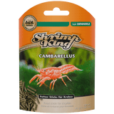 Shrimp King Cambarellus