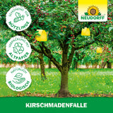 Neudorff KirschmadenFalle 7 Fallen