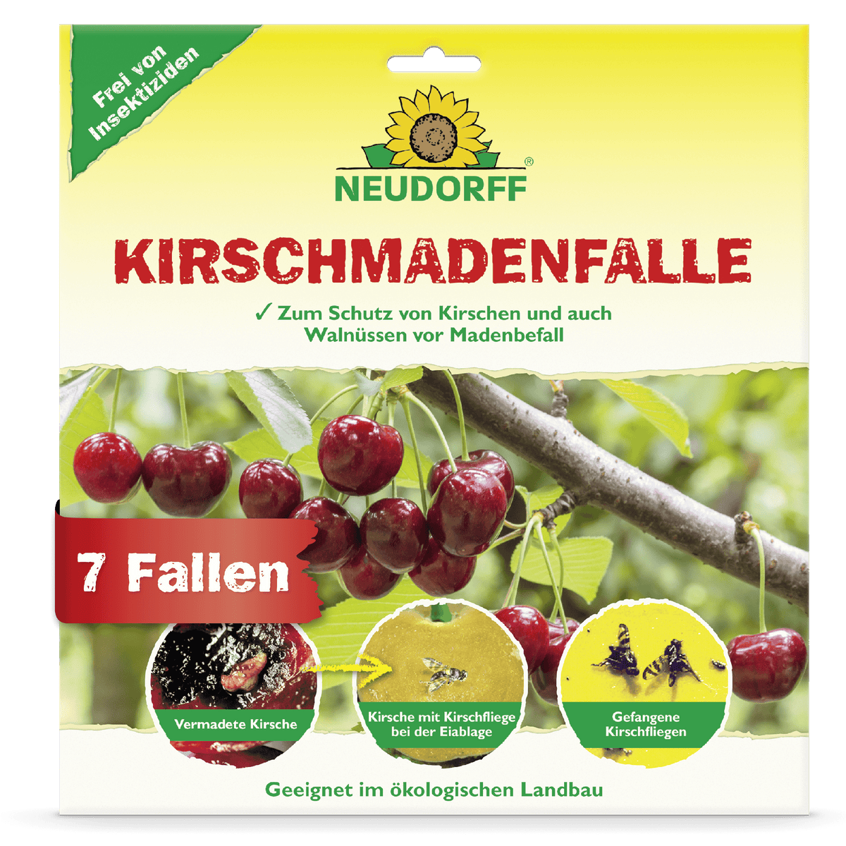 KirschmadenFalle