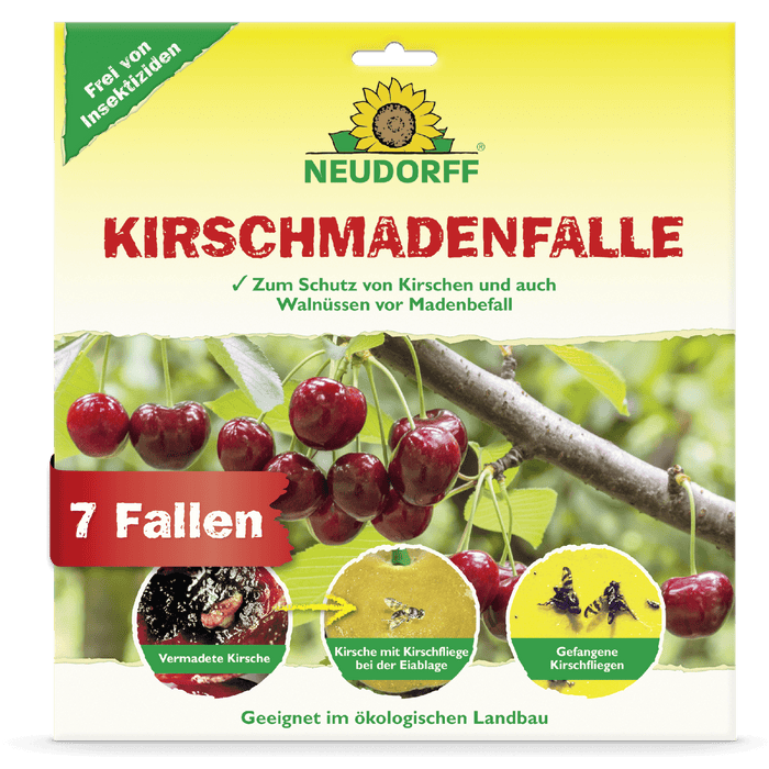 KirschmadenFalle