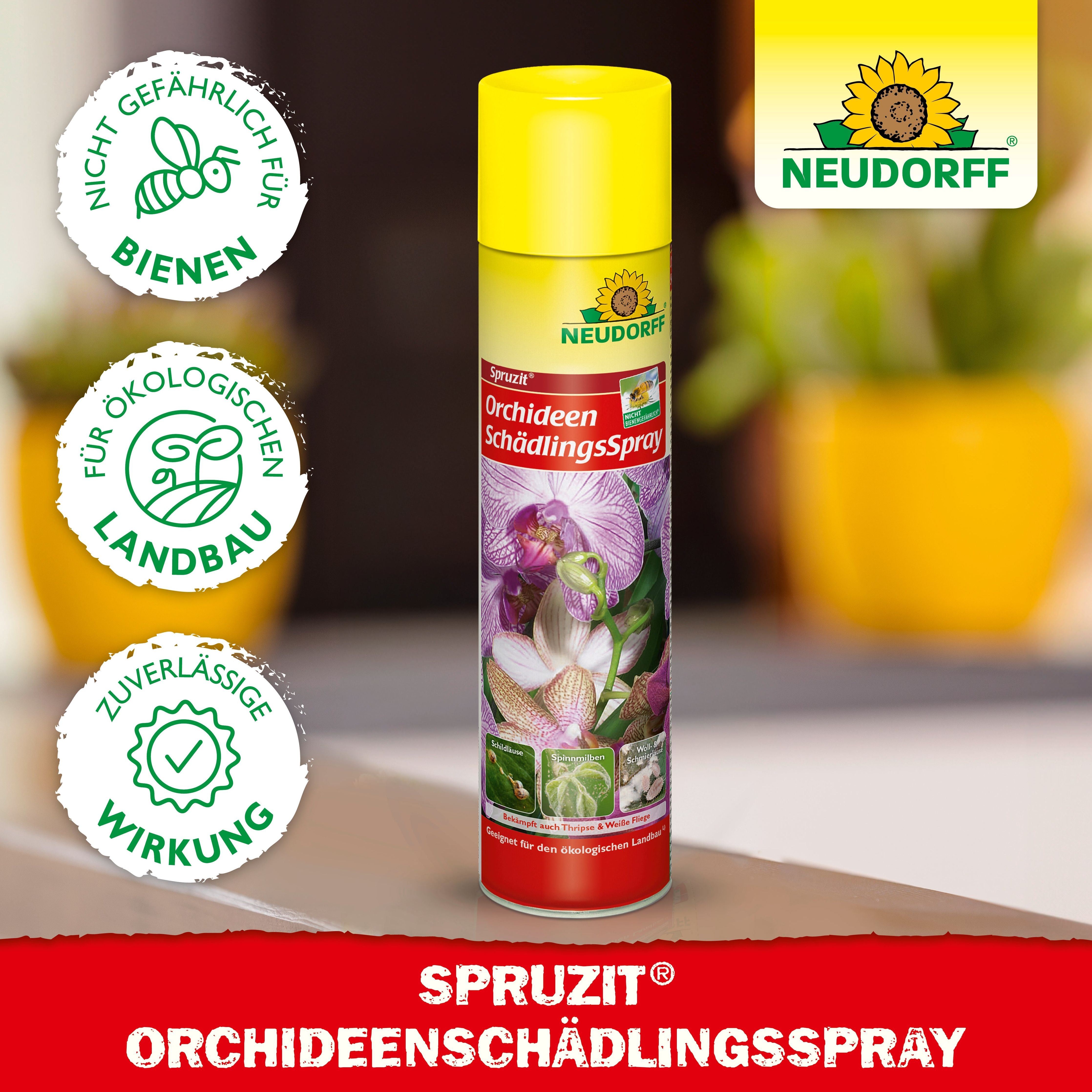Spruzit OrchideenSchädlingsSpray