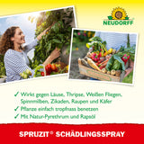 Neudorff Spruzit Schädlings­Spray 400 ml