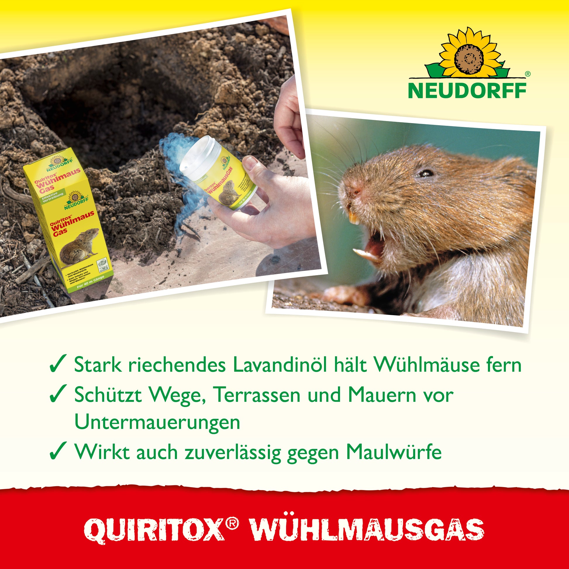 Quiritox Wühlmaus­Gas