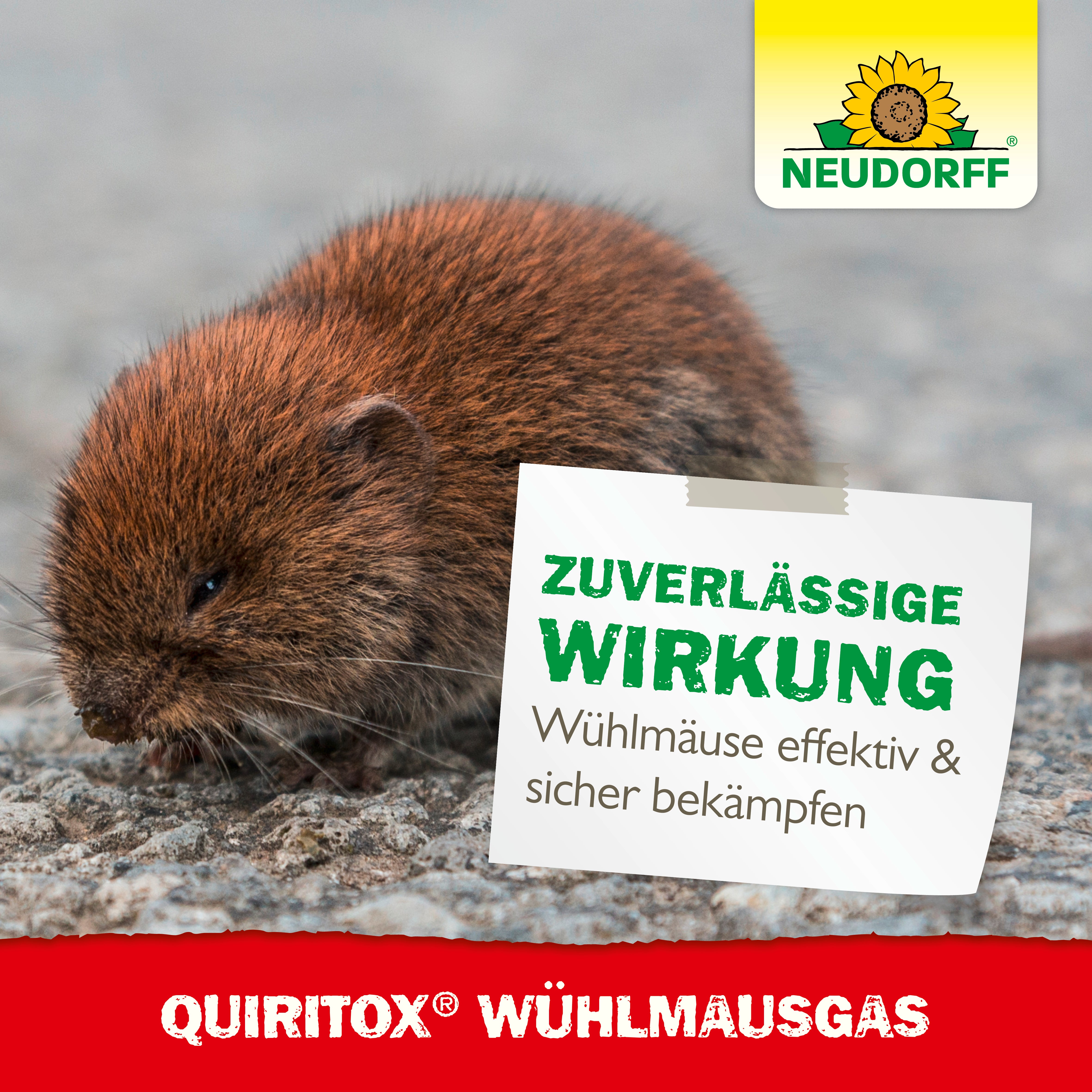 Quiritox Wühlmaus­Gas