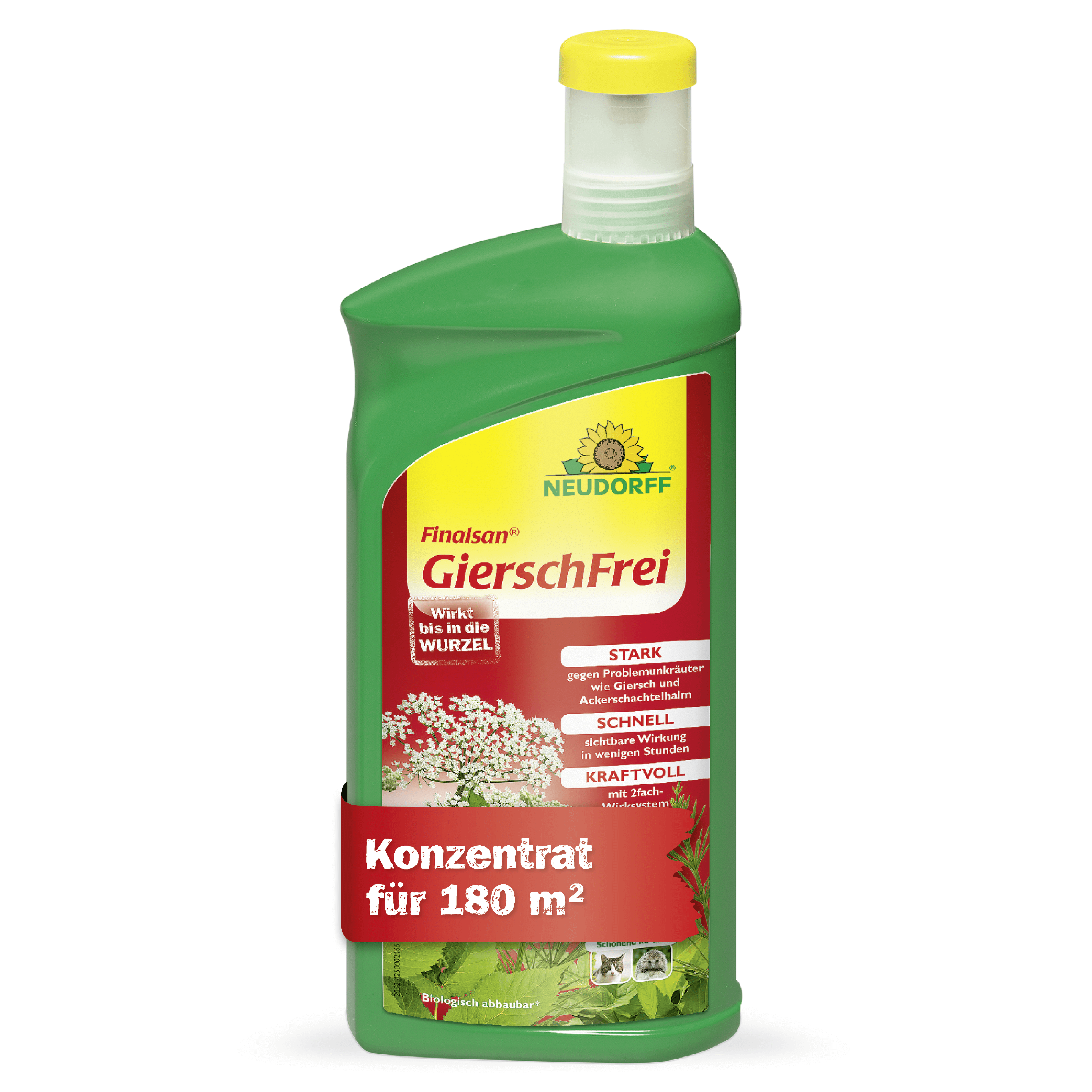 Finalsan GierschFrei