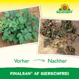 Neudorff Finalsan AF GierschFrei