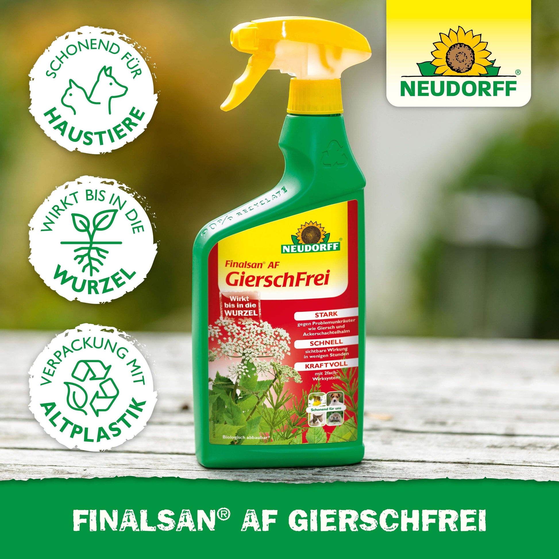 Finalsan AF GierschFrei