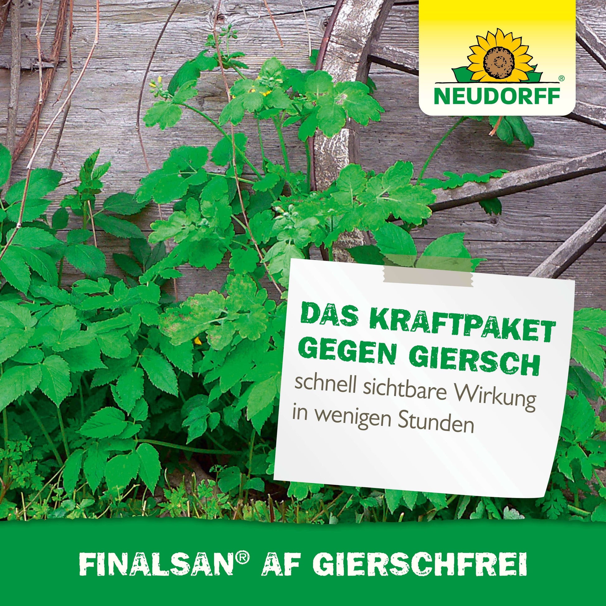 Finalsan AF GierschFrei