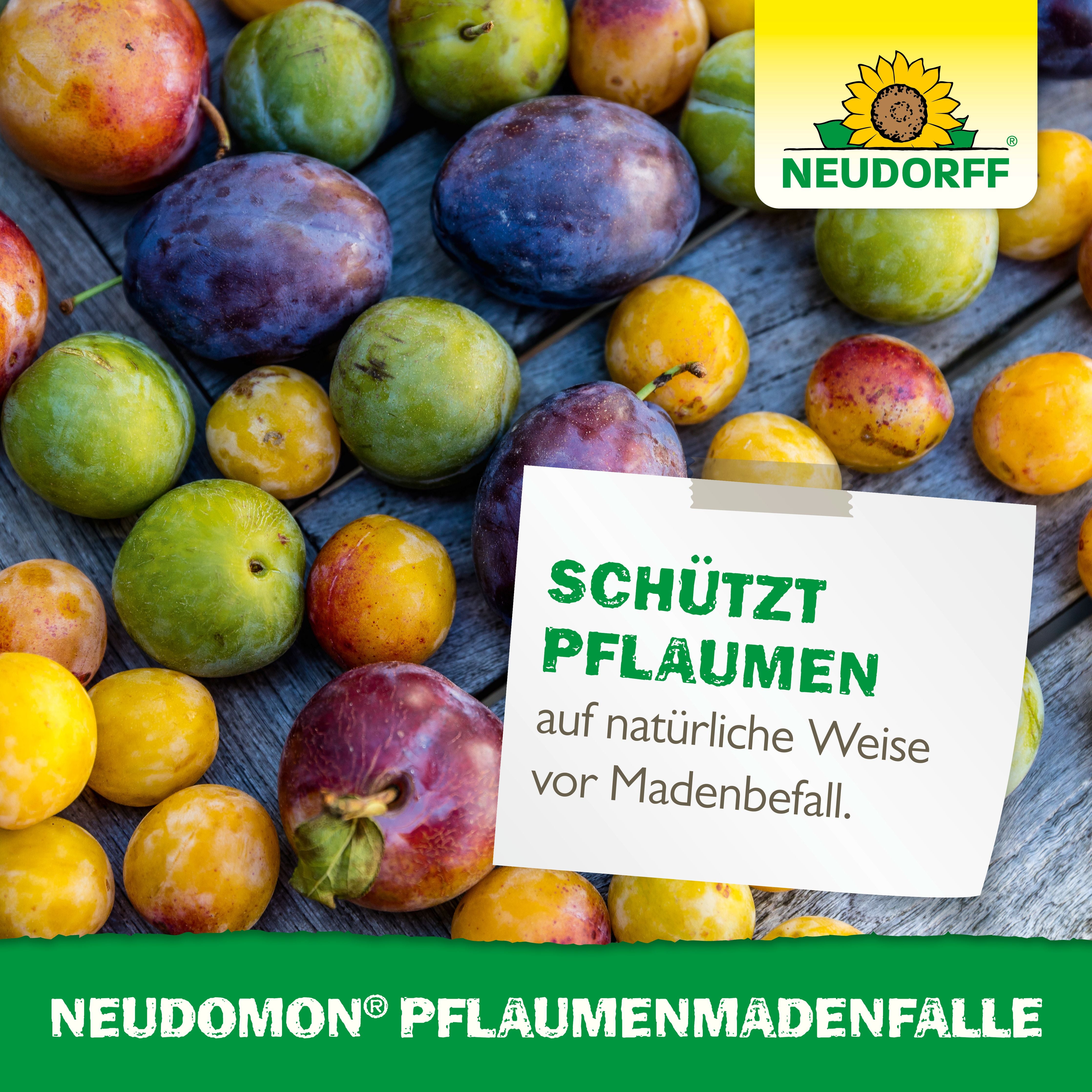 Neudomon Pflaumenmaden­Falle
