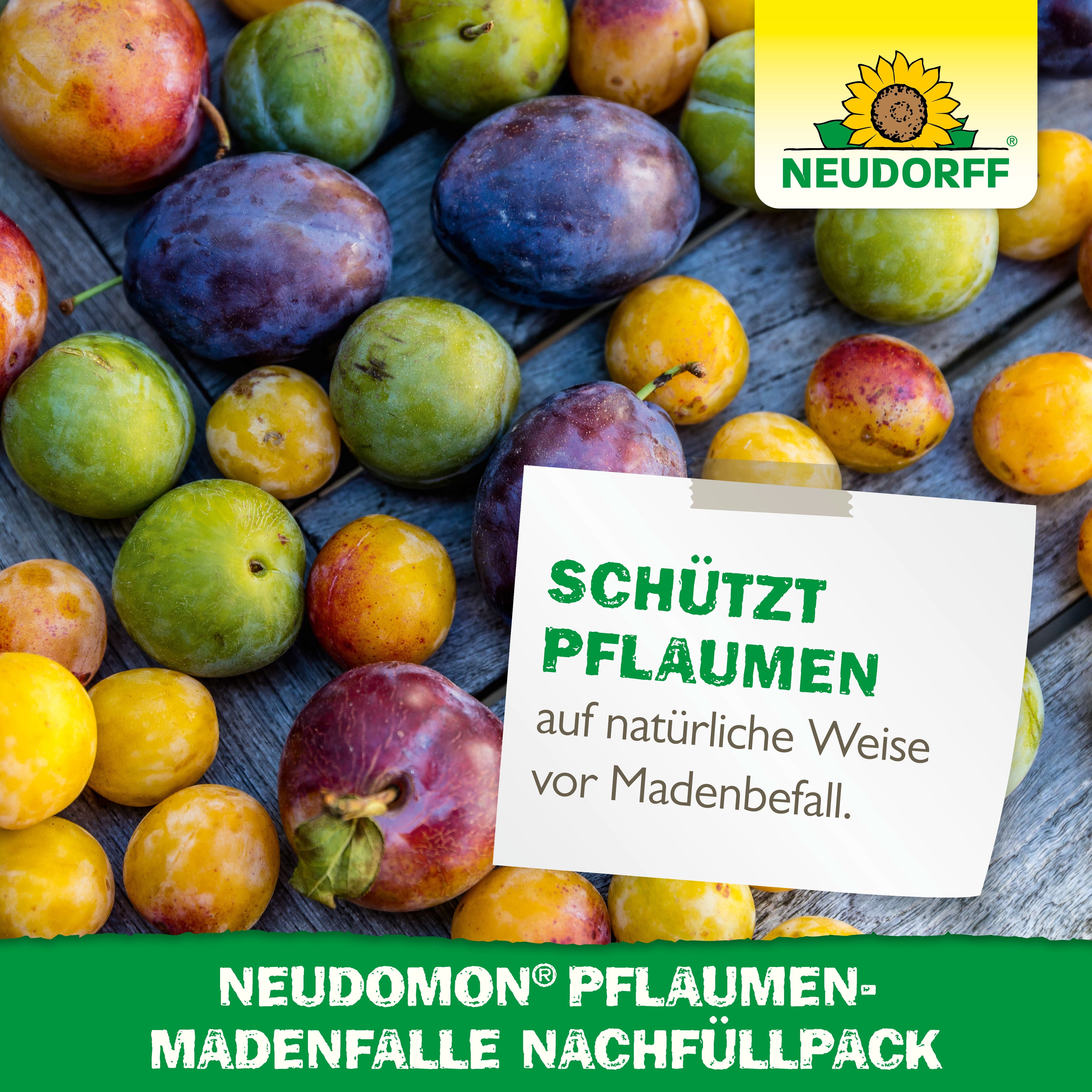Neudomon Pflaumenmaden­Falle Nachfüllpack