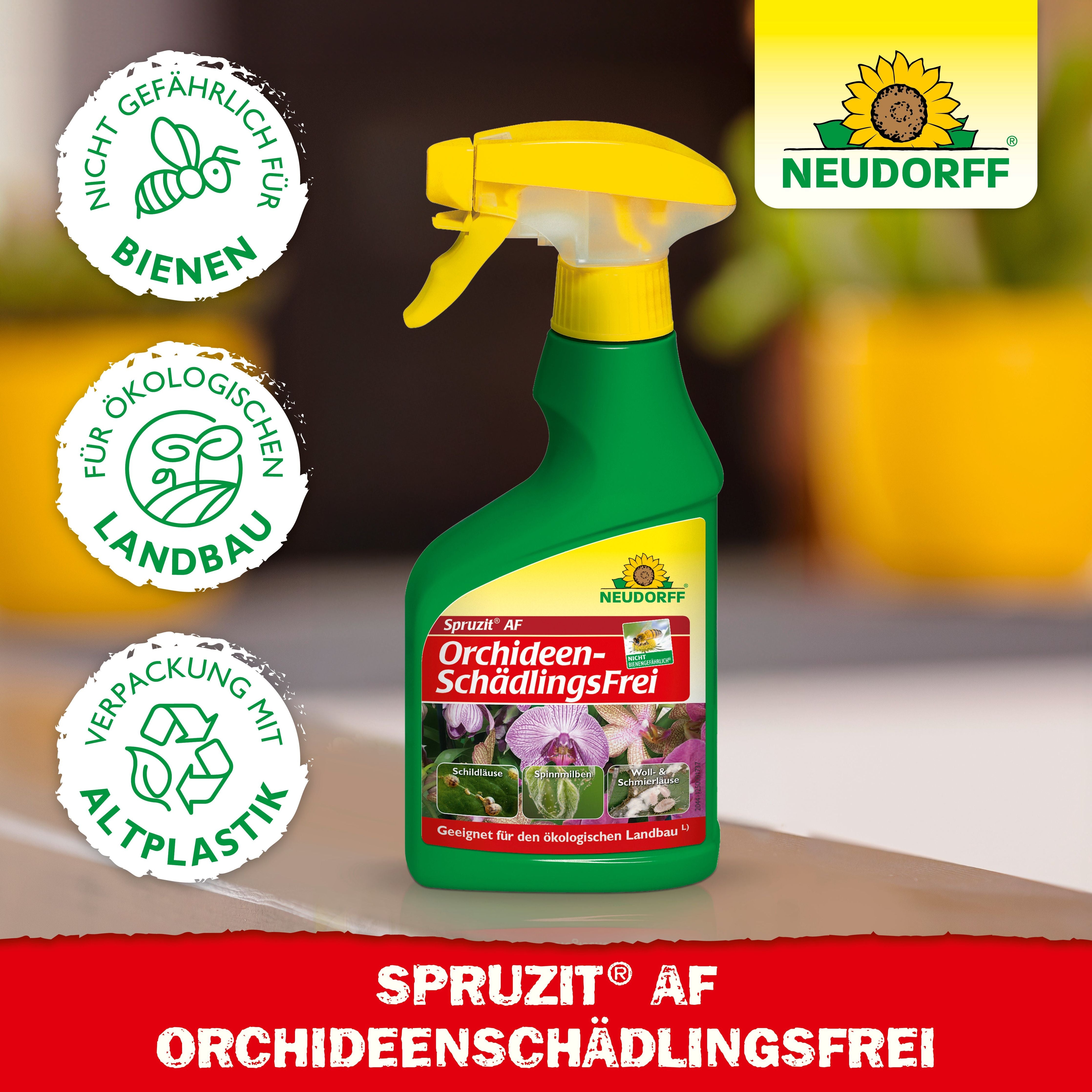 Spruzit AF Orchideen SchädlingsFrei