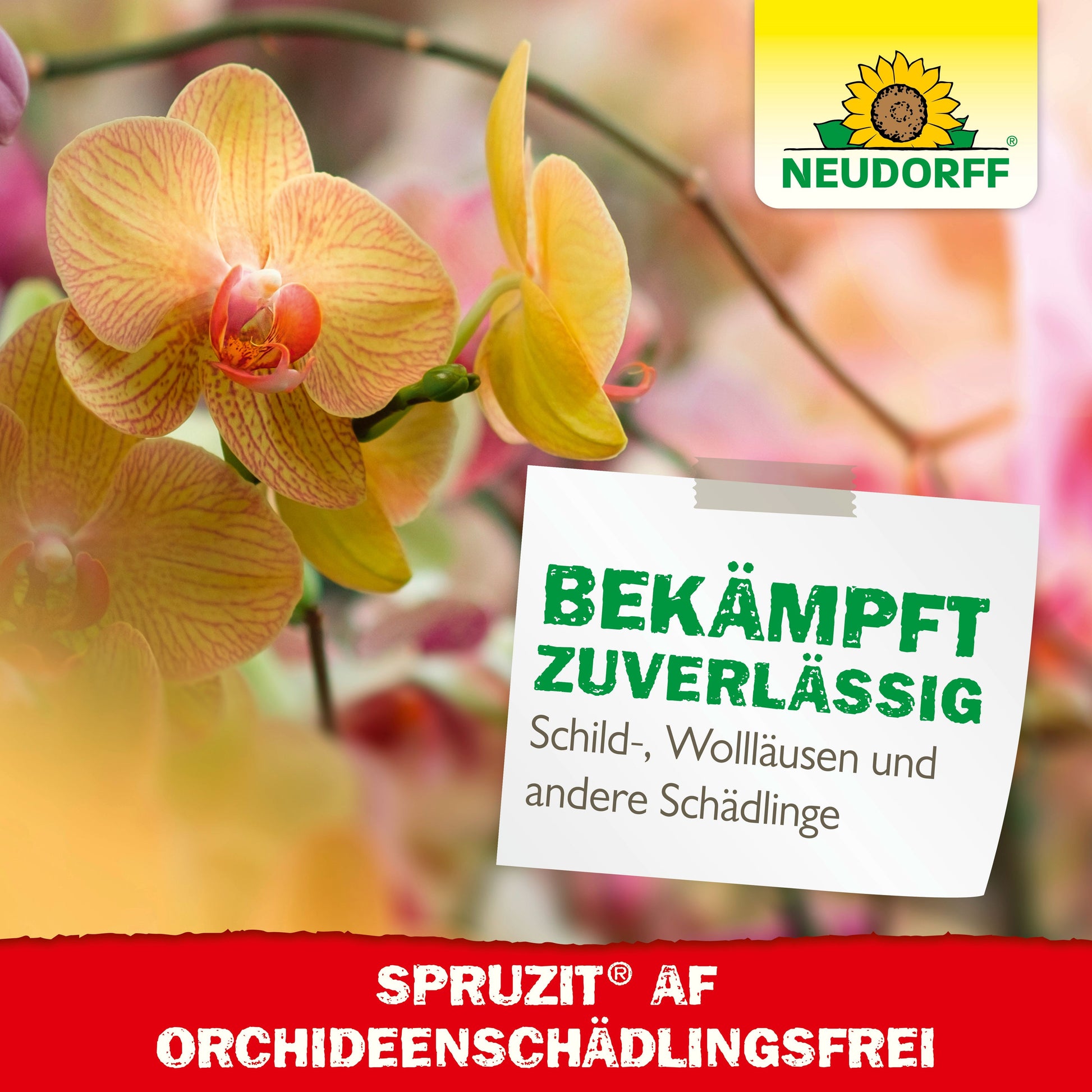 Spruzit AF Orchideen SchädlingsFrei