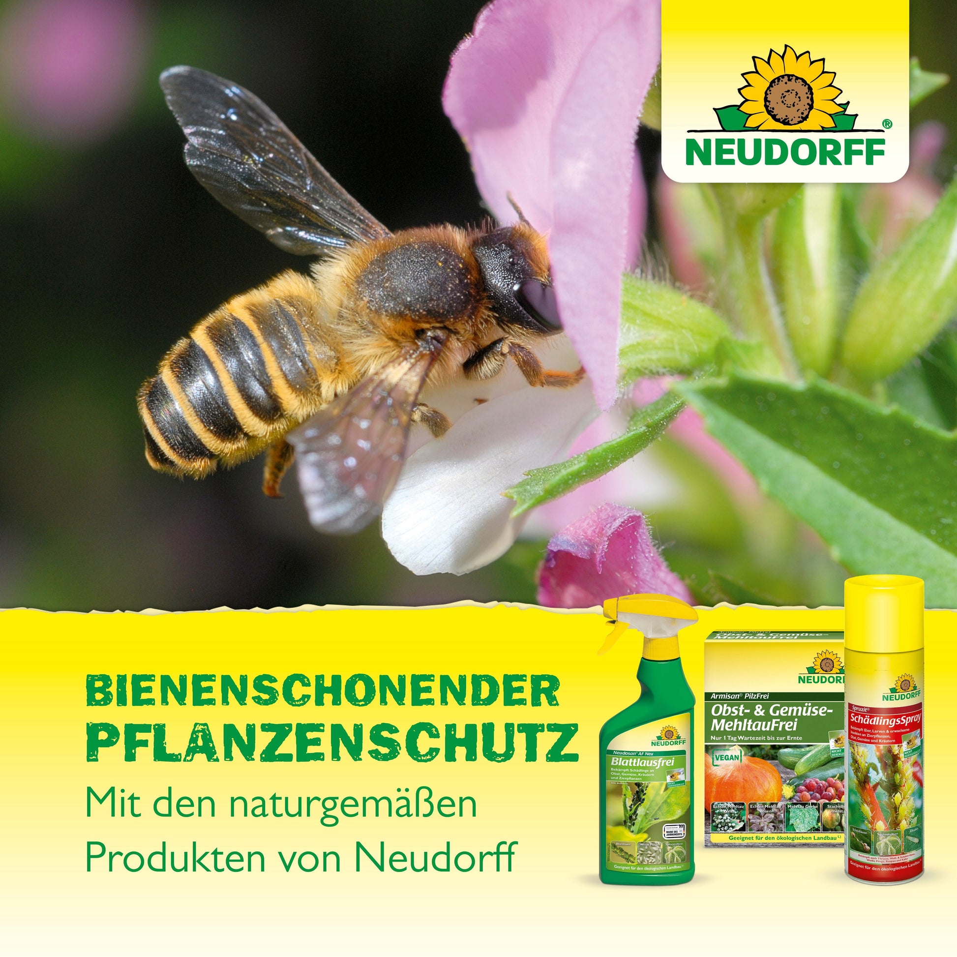 Spruzit AF Orchideen SchädlingsFrei