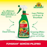 Neudorff Fungisan Gemüse-Pilzfrei 1000 ml