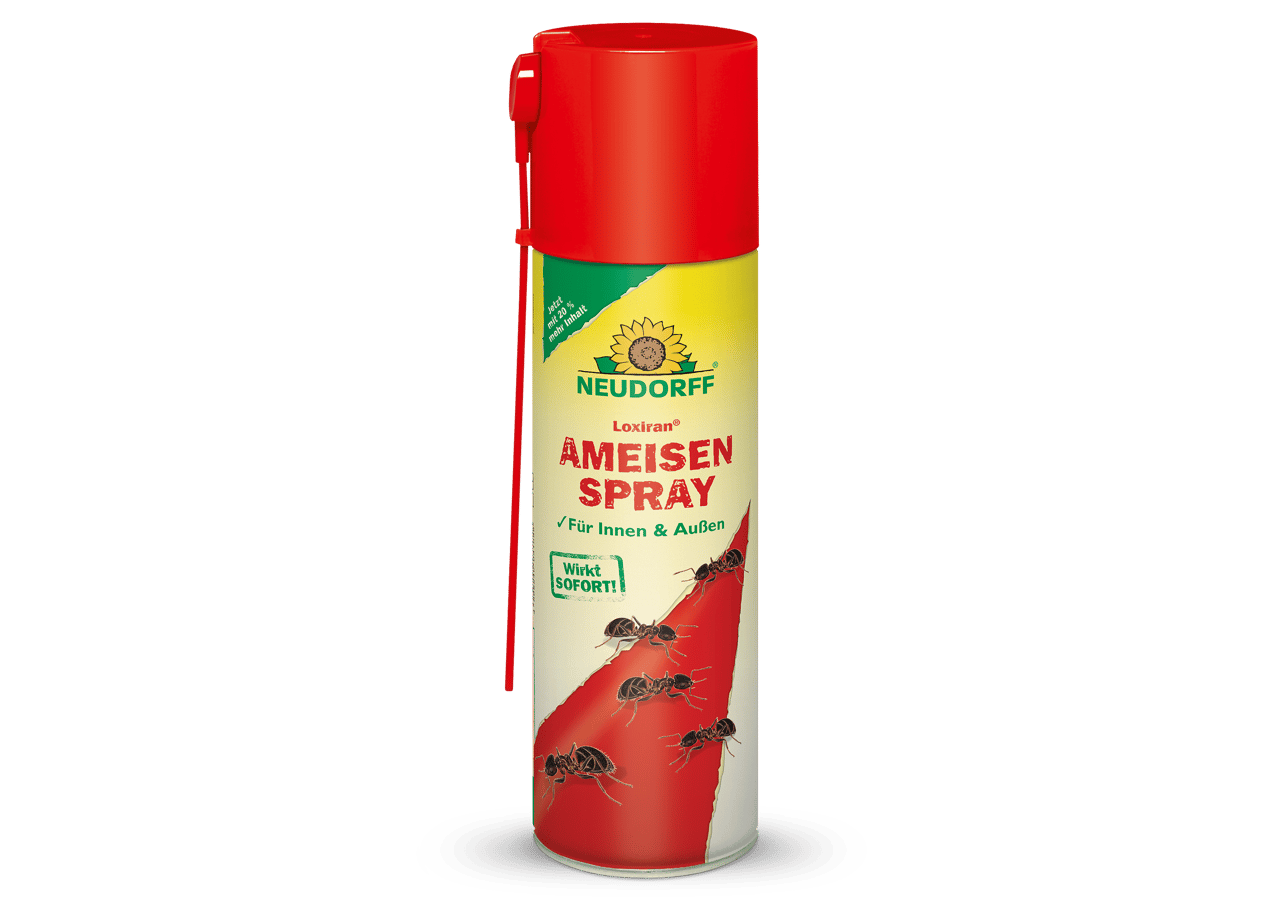 Loxiran Ameisenspray