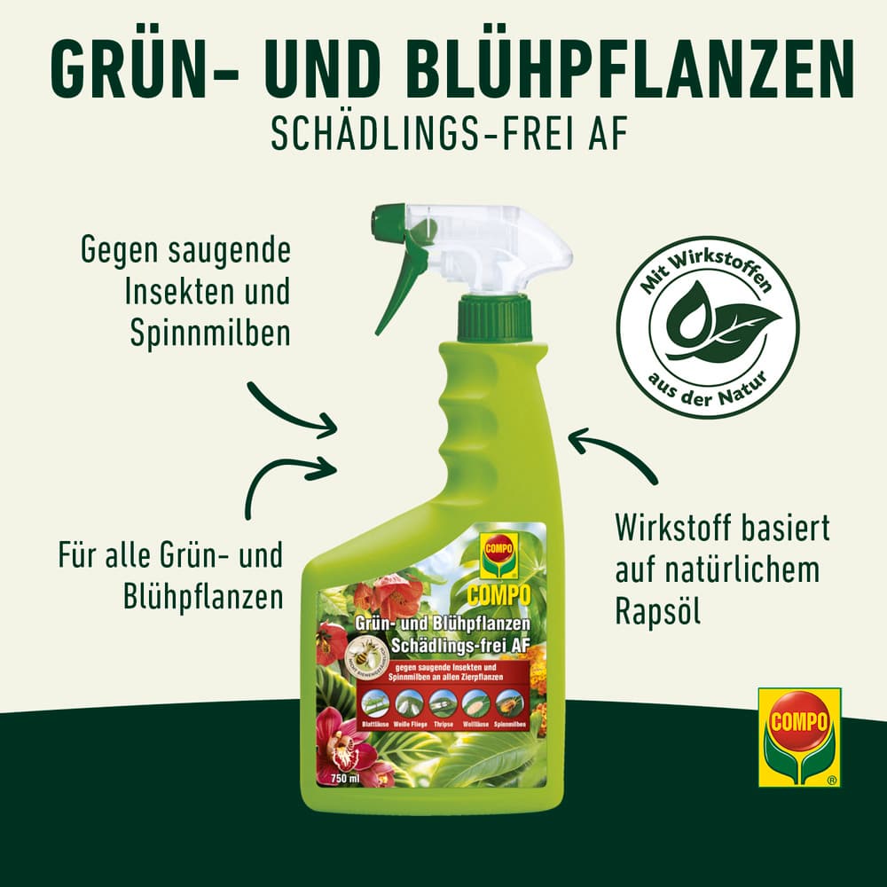 COMPO Grün- und Blühpflanzen Schädlings-frei AF