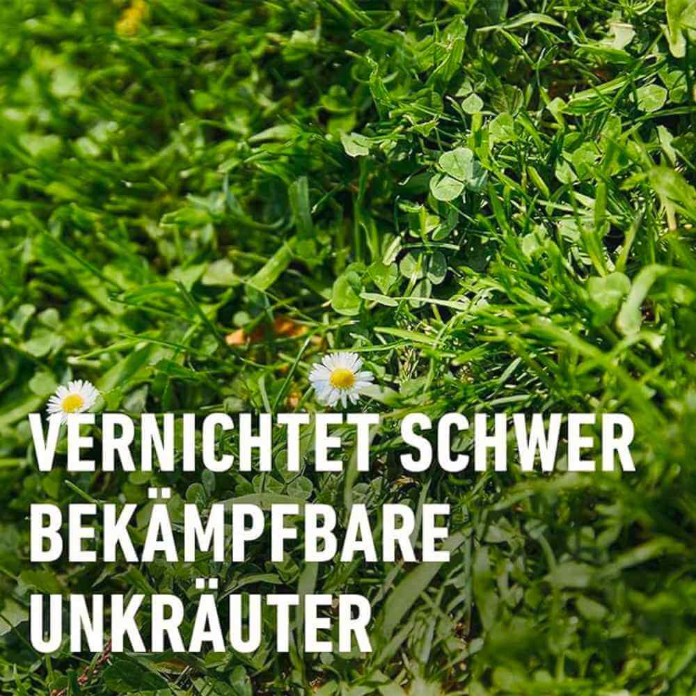 COMPO Rasenunkraut-Vernichter Banvel® Quattro AF für 10 m²