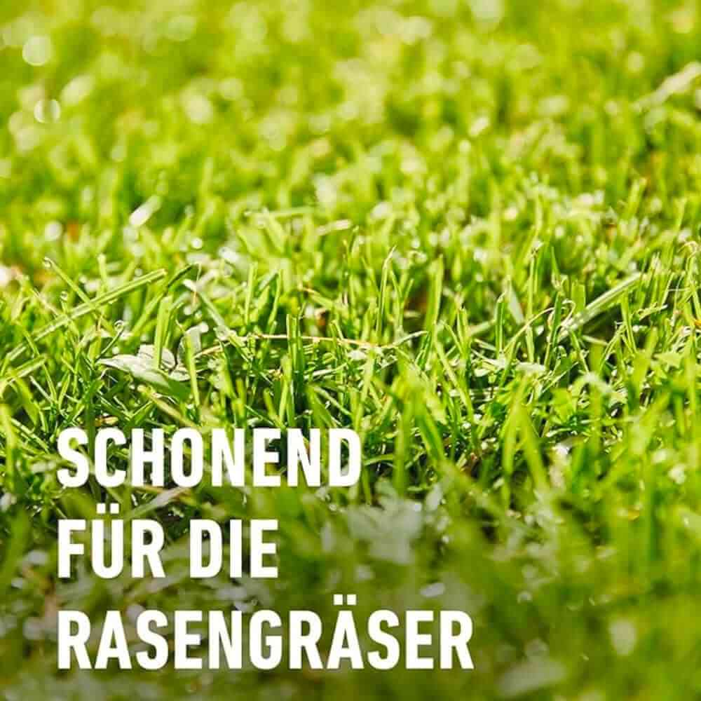 COMPO Rasenunkraut-Vernichter Banvel® Quattro AF für 10 m²