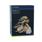 Decor Box Bonsai