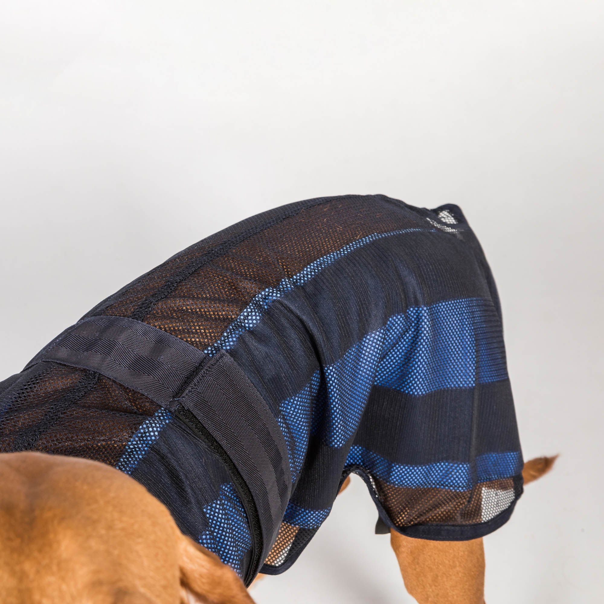 Cool on Track® Hundemantel mit Kühl-Effekt 2.0