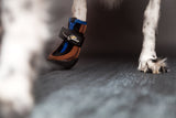 SABRO Hundeschuhe TOFFLER Pfotenschutz