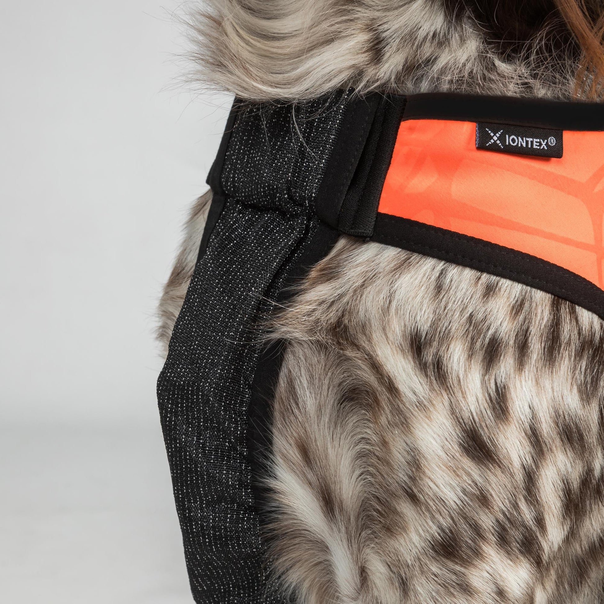 TRAKK Hunde-Brustschutzweste