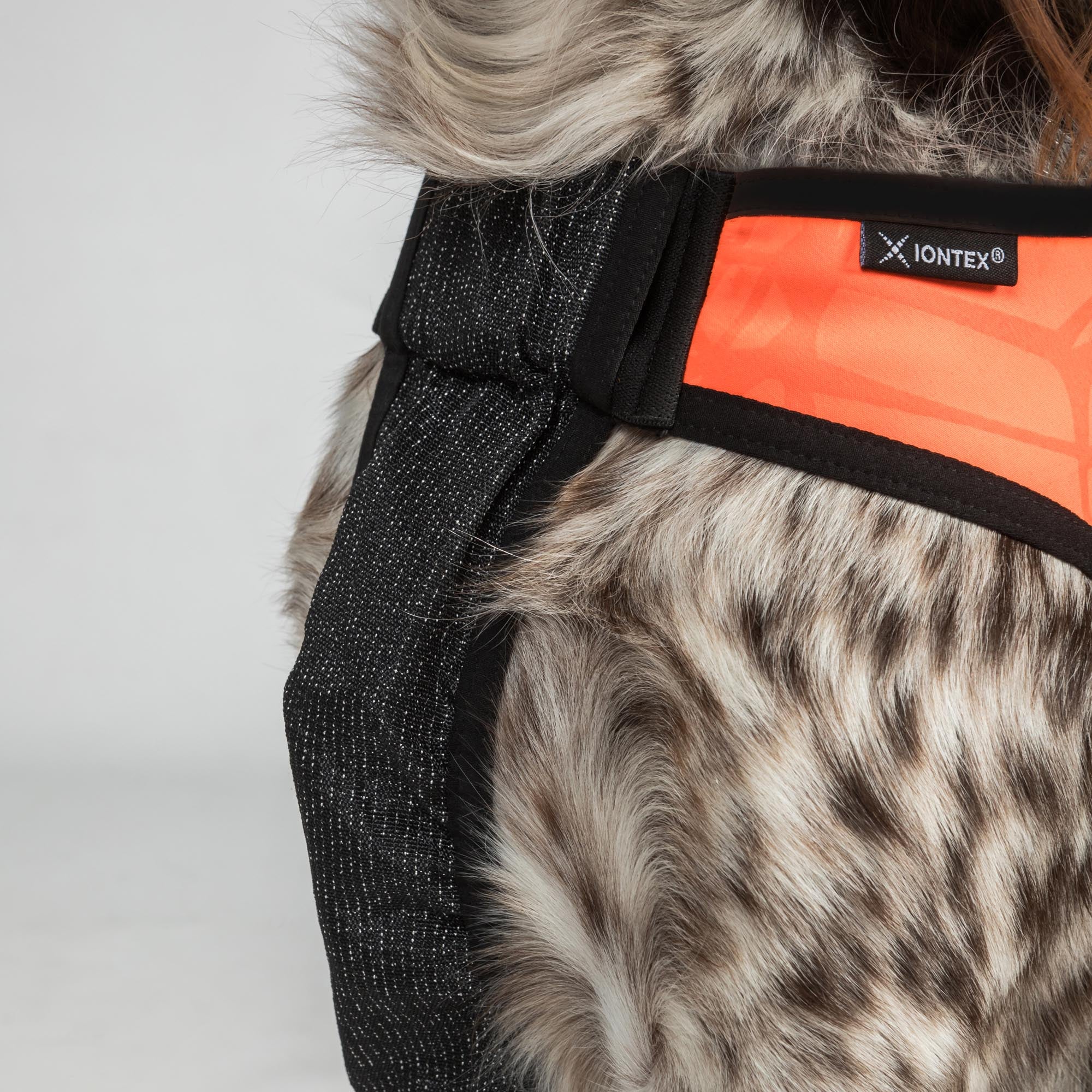 TRAKK Hunde-Brustschutzweste