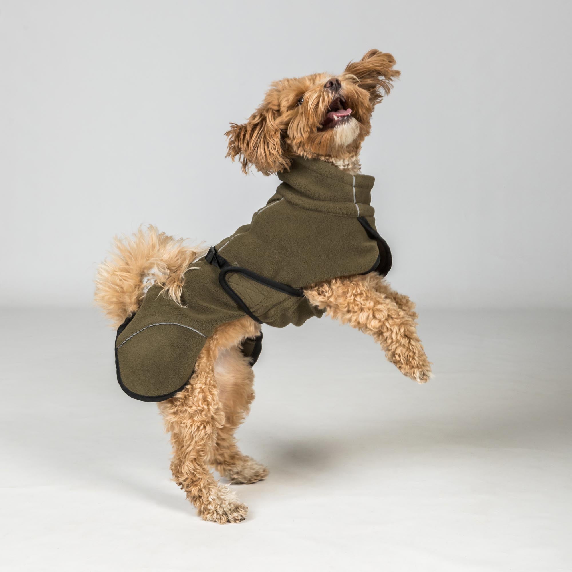 BAY Fleece-Hundemantel, Hoher Rutenansatz